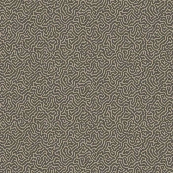 Cole & Son Curio Vermicelli 107/4017