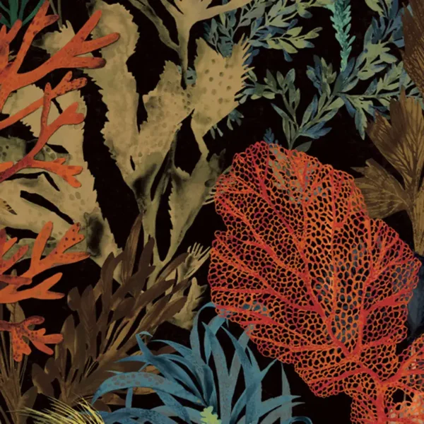 HookedonWalls Caribbean Bora Bora 27220