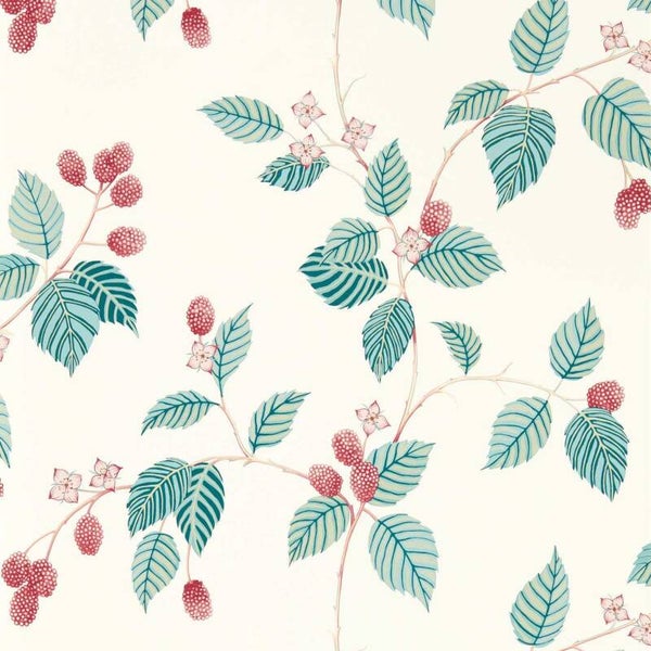 Sanderson Arboretum Rubus 217228