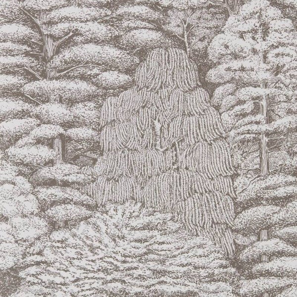 Sanderson Arboretum Woodland Toile 215716
