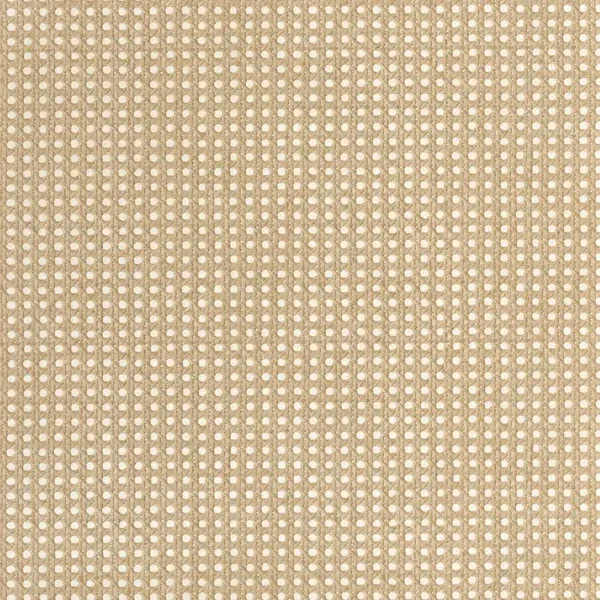 Caselio Matieres Cannage MMT 10602 10 00