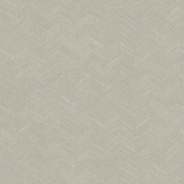HookedonWalls New Wave Chevron Simposium 24816