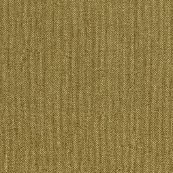 HookedonWalls Lemuria Baobab 60636