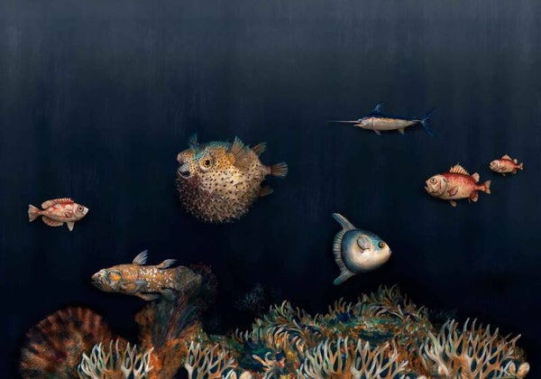 Coordonné Naturae Deep Ocean 9500501