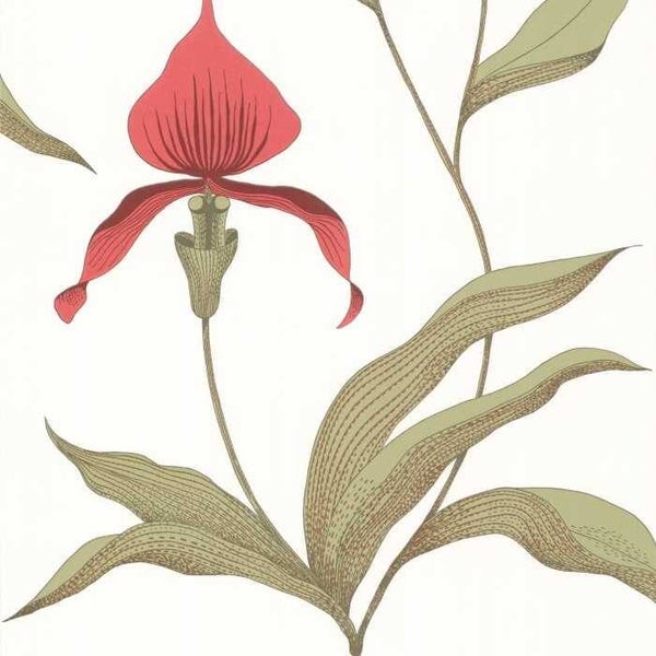Cole & Son The Contemporary Collection Orchid 95/10054