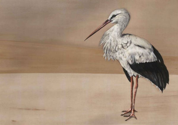 Coordonné Naturae Stork Mother 9500301