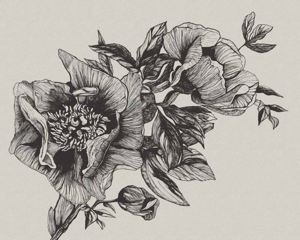 Coordonné Naturae Giant Peonies 9500700