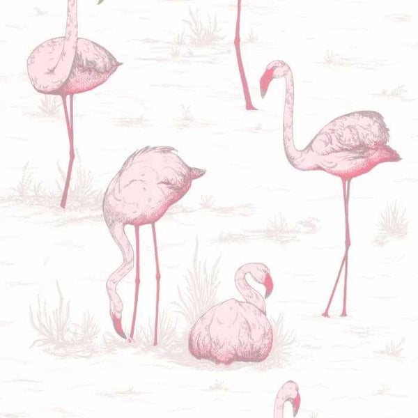 Cole & Son Contemporary Restyled Flamingos 95/8045