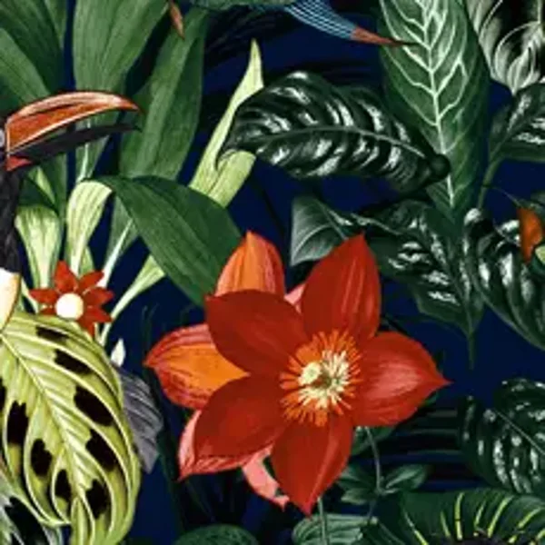 HookedonWalls Caribbean Palau 27225