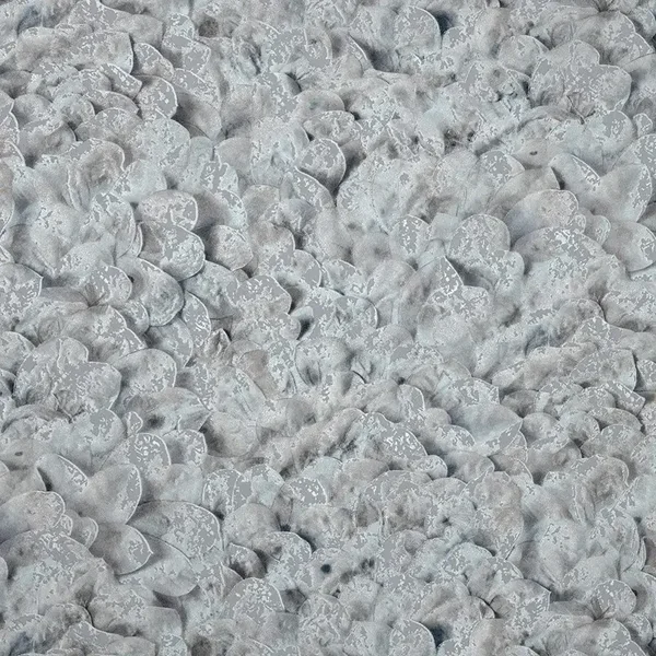 HookedonWalls Liaison Lunaria 46311