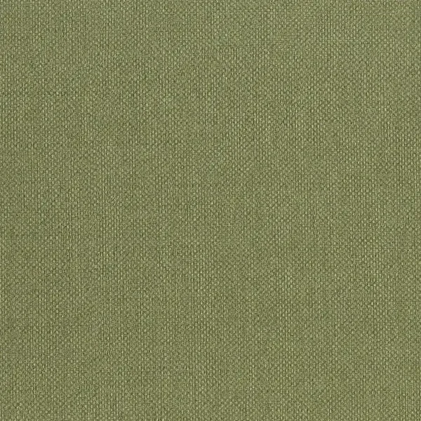 HookedonWalls Lemuria Baobab 60635