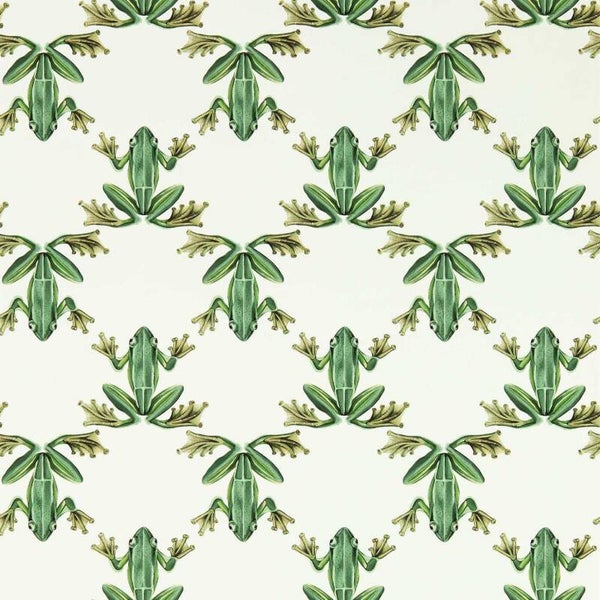 Harlequin Colour 4 Wood Frog 113011
