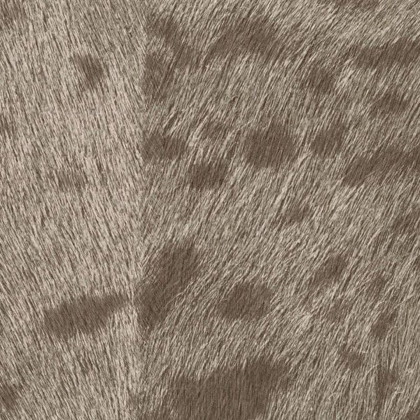 Élitis Sauvages Panthère VP 653 11