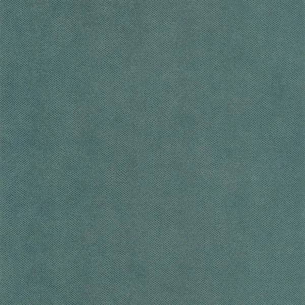 Casadeco Leathers Galuchat LEAT 8716 64 11