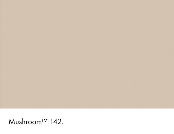 Little Greene Mushroom 142 (Intelligent Masonry Paint)