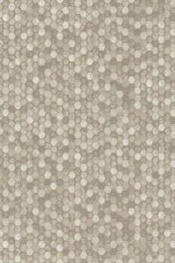 HookedonWalls Orfeo Polyphony 35252