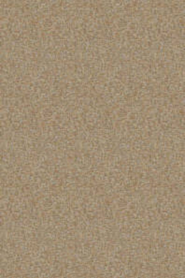 HookedonWalls Passe Partout Colour Vibes 29905