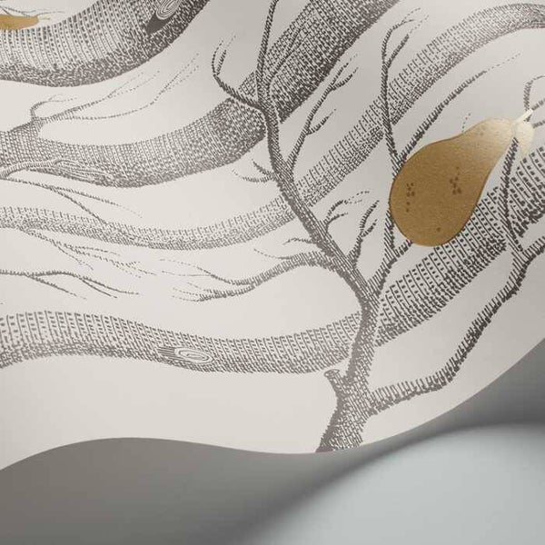 Cole & Son The Contemporary Collection Woods & Pears 95/5032