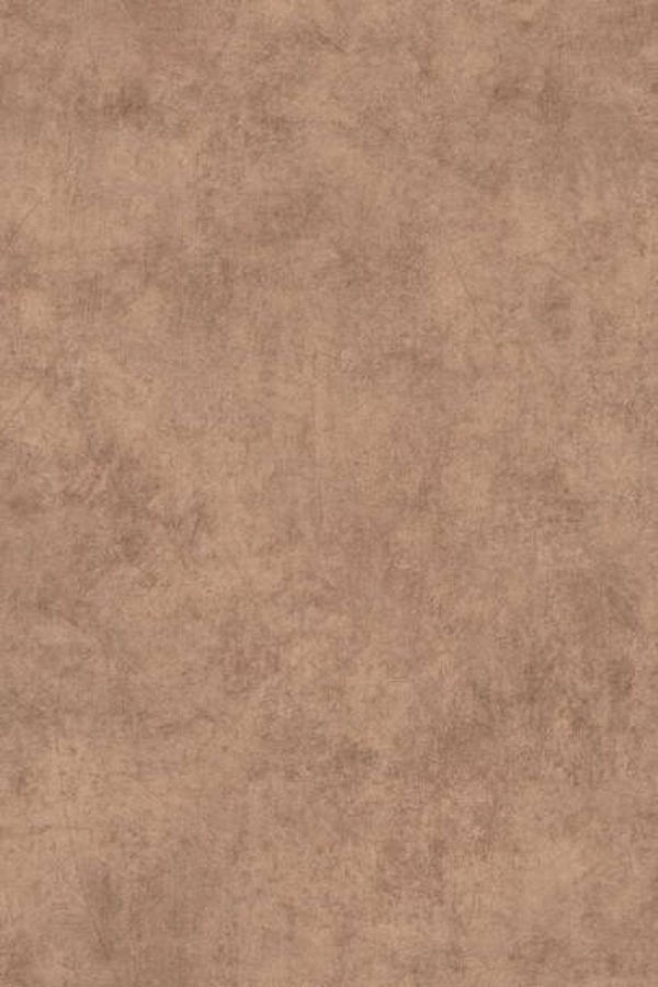 HookedonWalls Livingstone Sandstone 53732