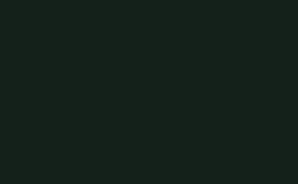 Little Greene Obsidian Green 216 (Absolute Matt Emulsion)