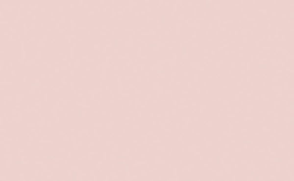 Little Greene Pink Slip 220 (Absolute Matt Emulsion)