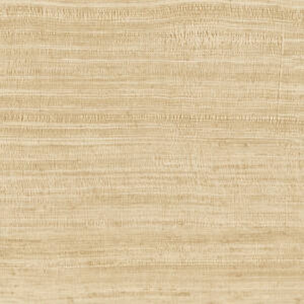 ARTE Expedition Tasar 72024