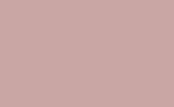 Little Greene Hellebore 275 (Absolute Matt Emulsion)