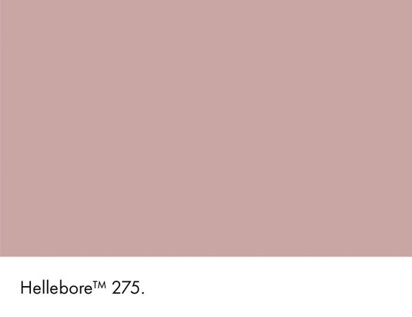 Little Greene Hellebore 275 (Sample)