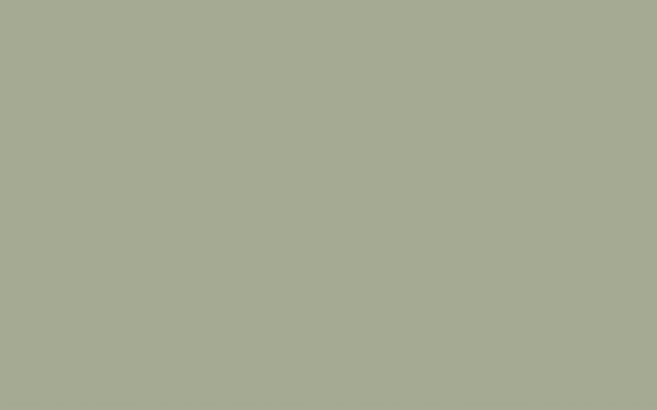 Little Greene Boringdon Green 295 (Absolute Matt Emulsion)