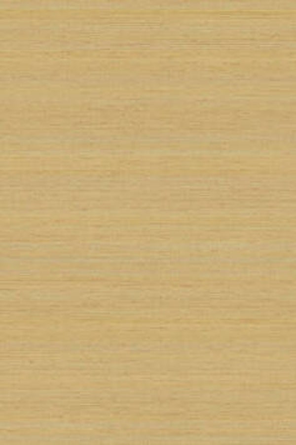 HookedonWalls Passe Partout Colour Vibes 29903