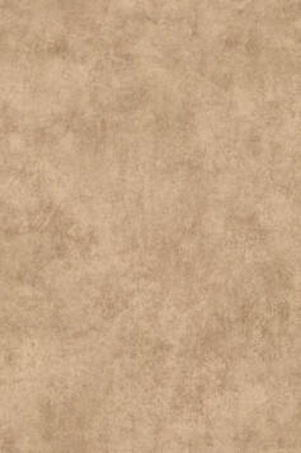 HookedonWalls Livingstone Sandstone 53733
