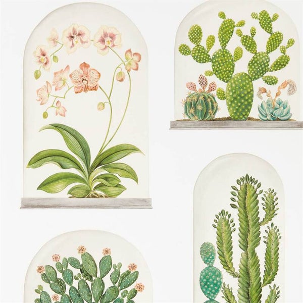 Sanderson The Glasshouse Terrariums 216655