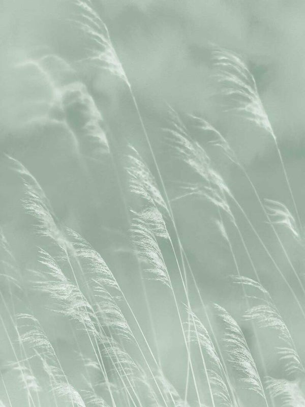 Eijffinger Waterfront 300901