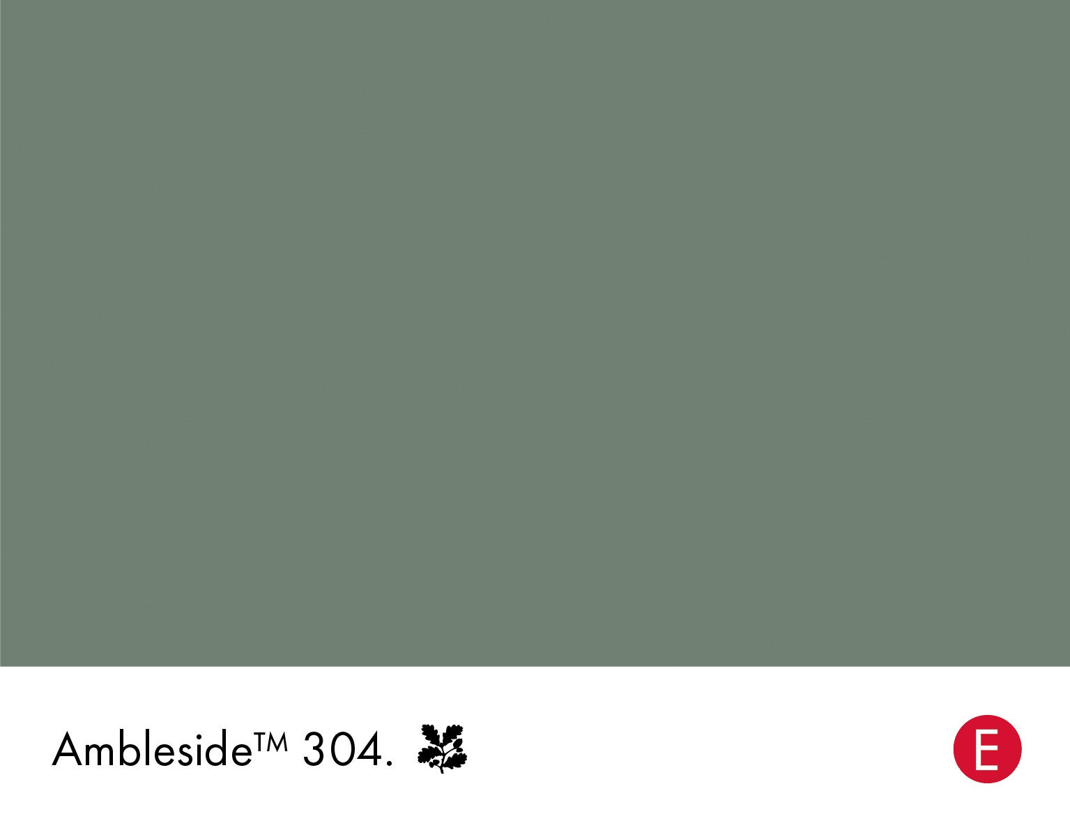 Little Greene Ambleside 304 (Intelligent Matt Emulsion)