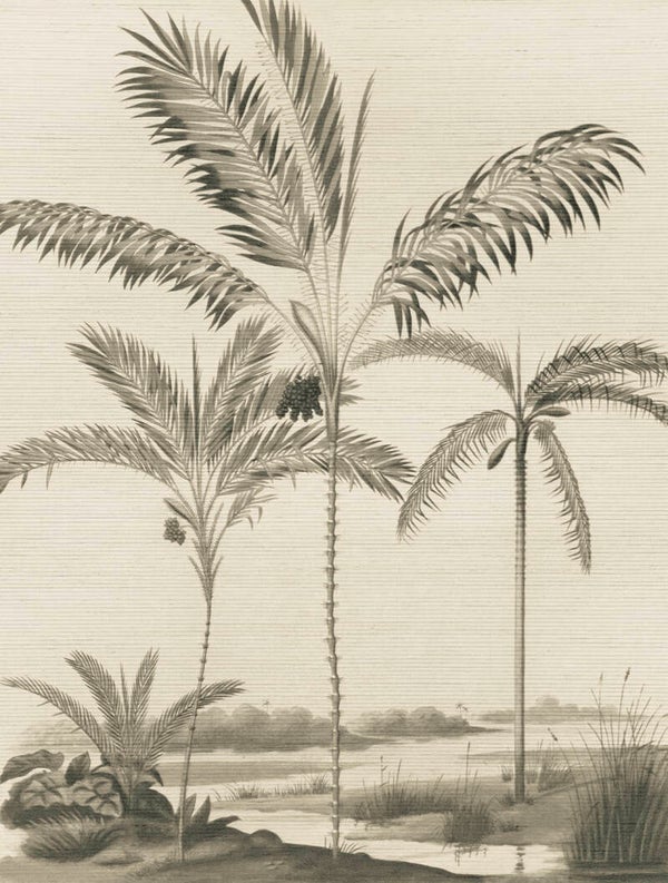 Eijffinger Oasis 317407 Black & White