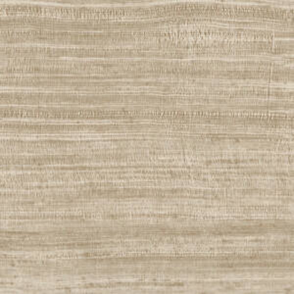 ARTE Expedition Tasar 72033