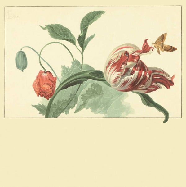 Eijffinger Masterpiece 358118