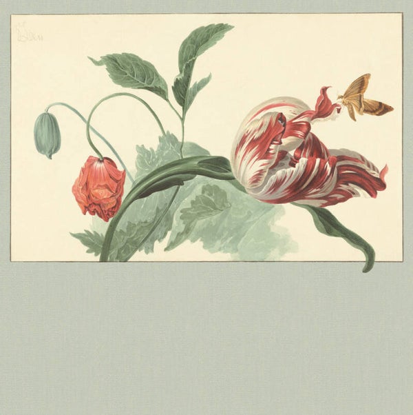 Eijffinger Masterpiece 358119