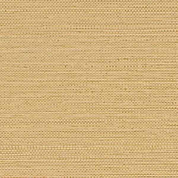 Casamance Golfe du Bengale Zostera 7597 19 36