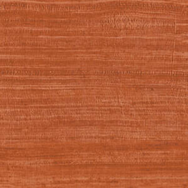 ARTE Expedition Tasar 72036