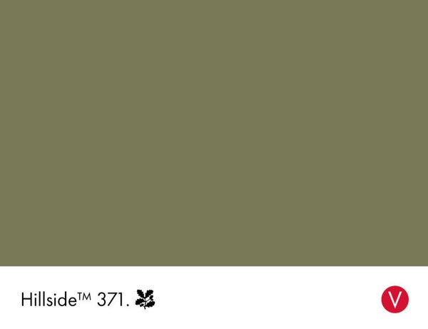 Little Greene Hillside 371 (Intelligent Masonry Paint)