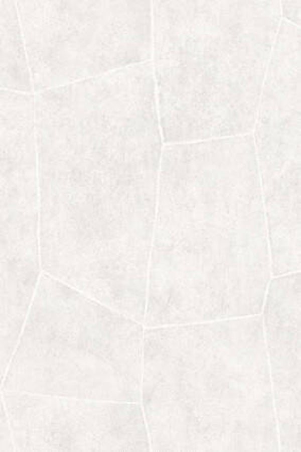 HookedonWalls Livingstone Flagstone 53724