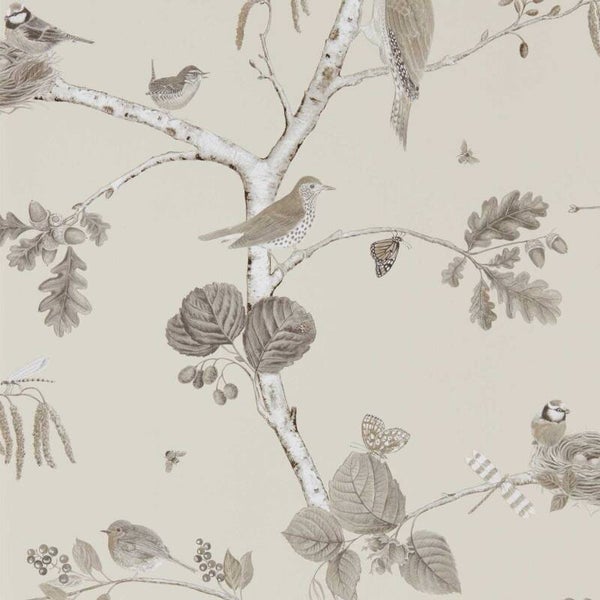 Sanderson Country Woodland Woodland Chorus 215704