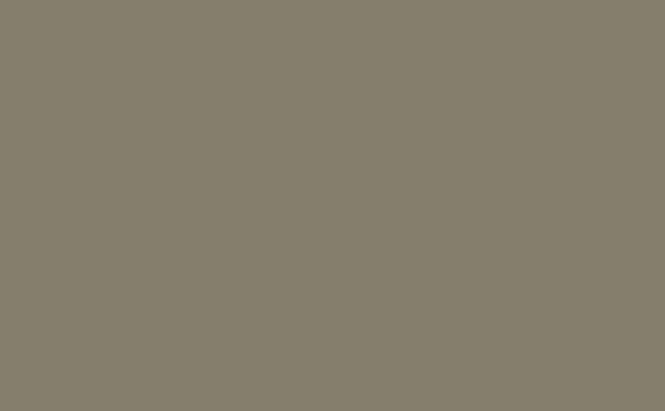 Little Greene Silt 40 (Absolute Matt Emulsion)