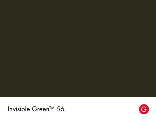 Little Greene Invisible Green 56 (Intelligent Masonry Paint)