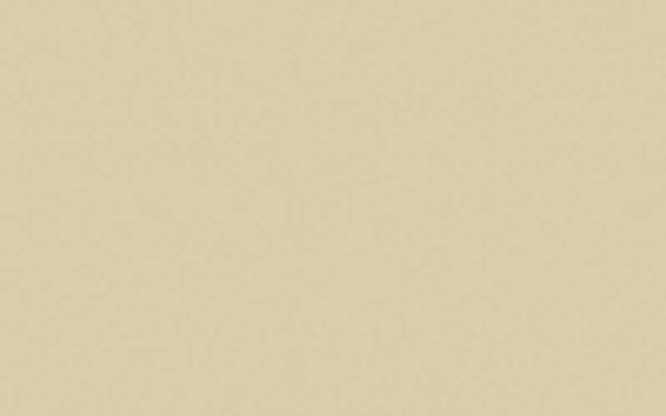 Little Greene Stone Mid Cool 66 (Intelligent Matt Emulsion)