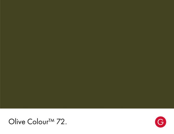 Little Greene Olive Colour 72 (Absolute Matt Emulsion)