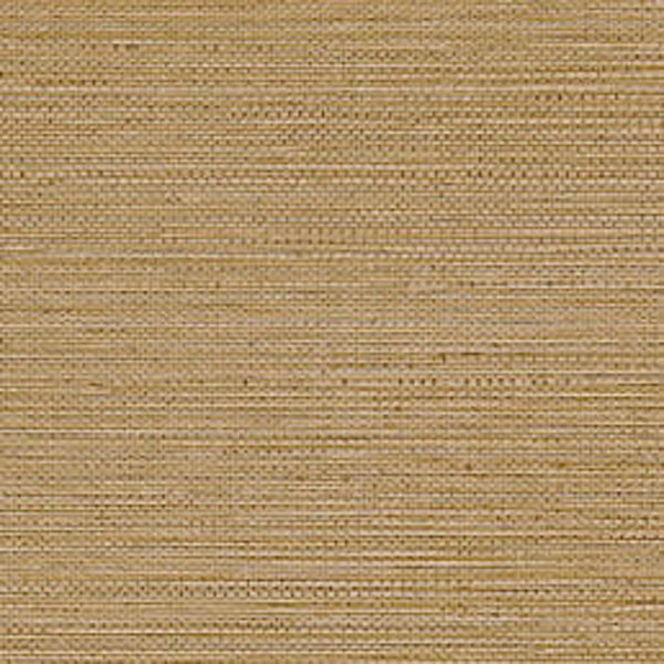 Casamance Golfe du Bengale Zostera 7597 21 40