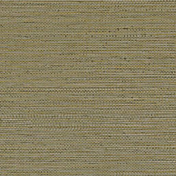 Casamance Golfe du Bengale Zostera 7597 22 42