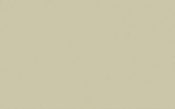 Little Greene Portland Stone 77 (Sample)